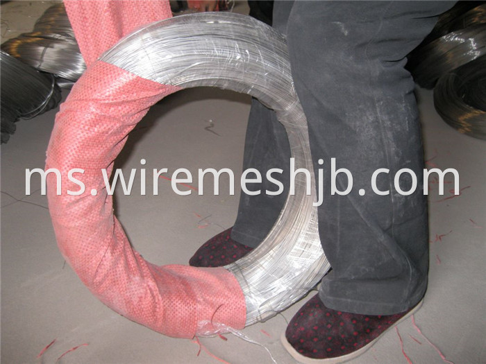 Stainless Steel Wire